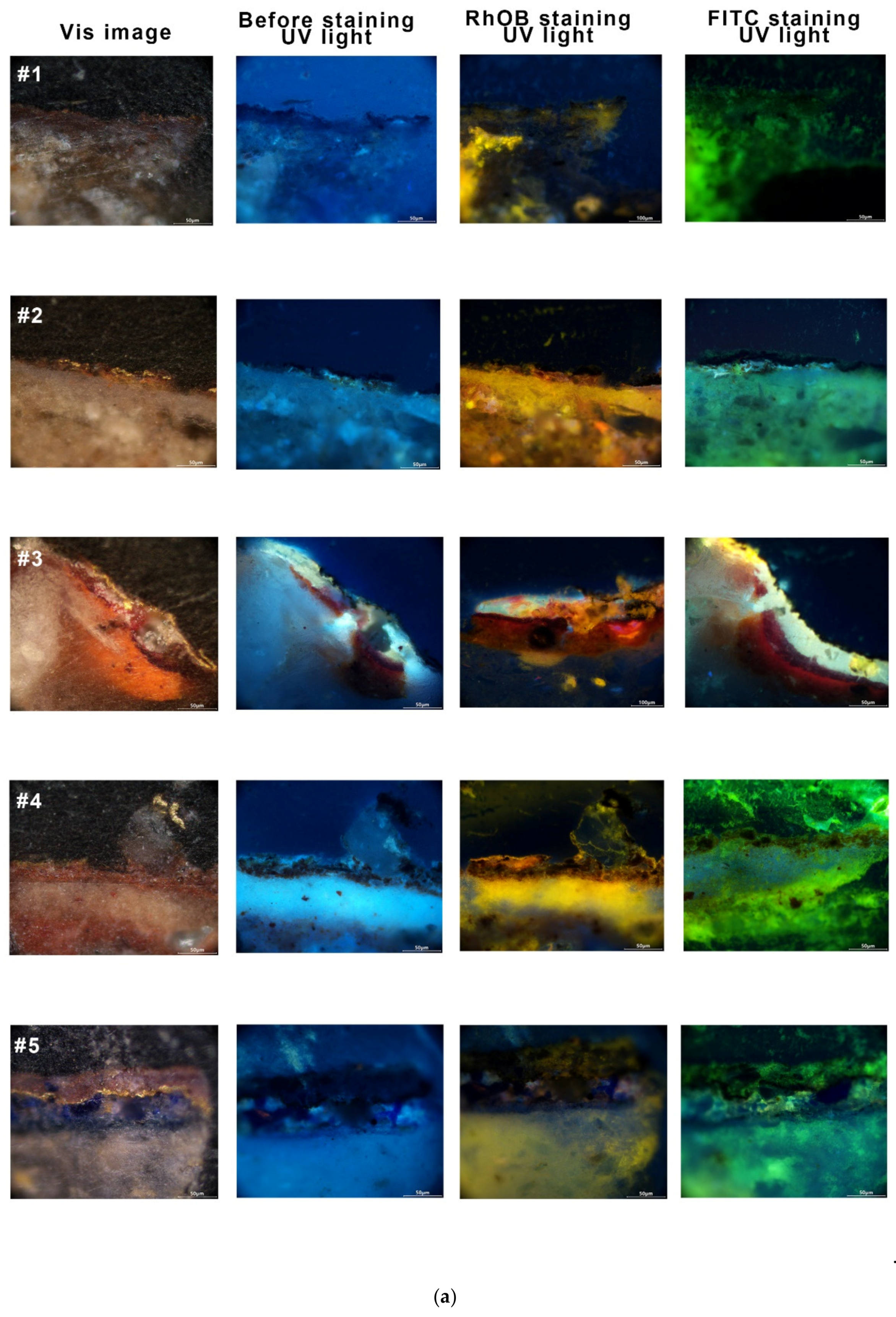 Applsci 12 11202 g0a5a