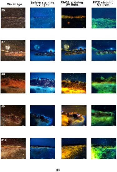 Applsci 12 11202 g0a5b