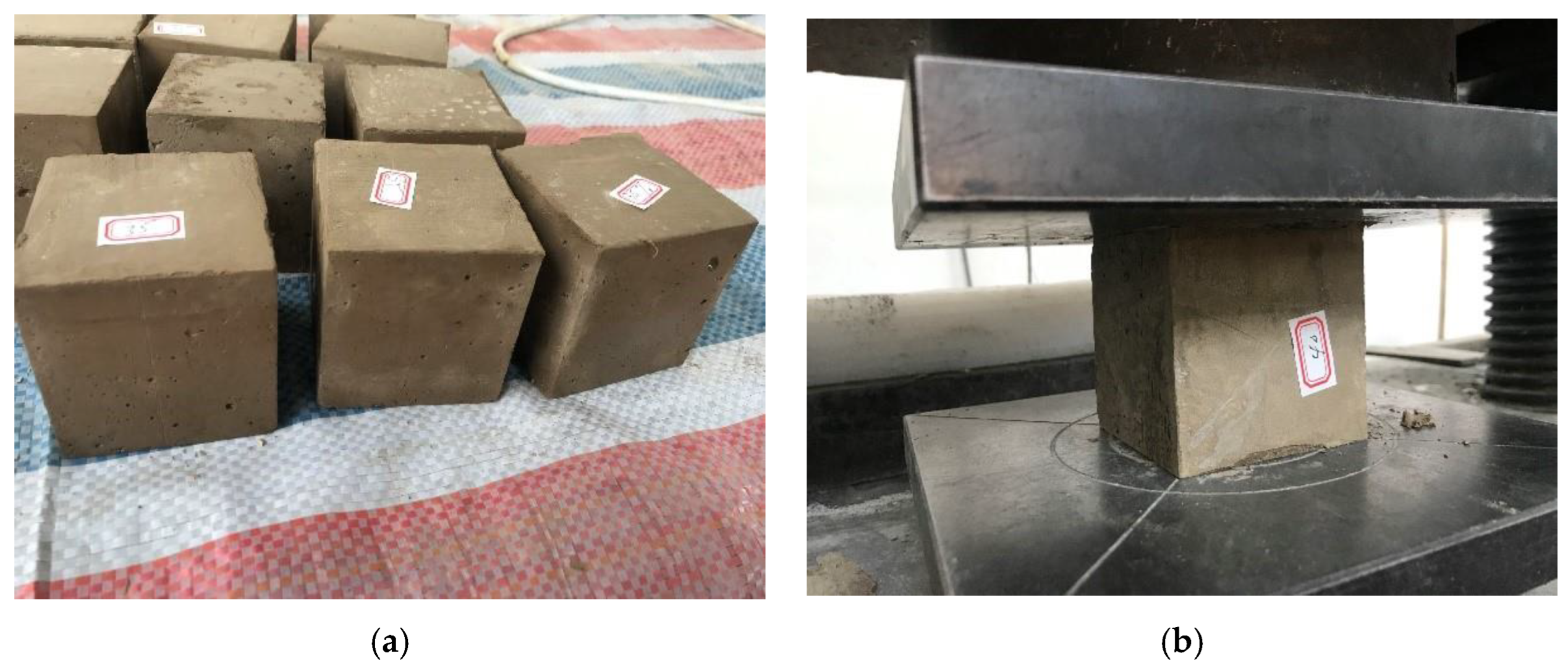 Applsci 12 11213 g003 Applsci 12 11213 g003