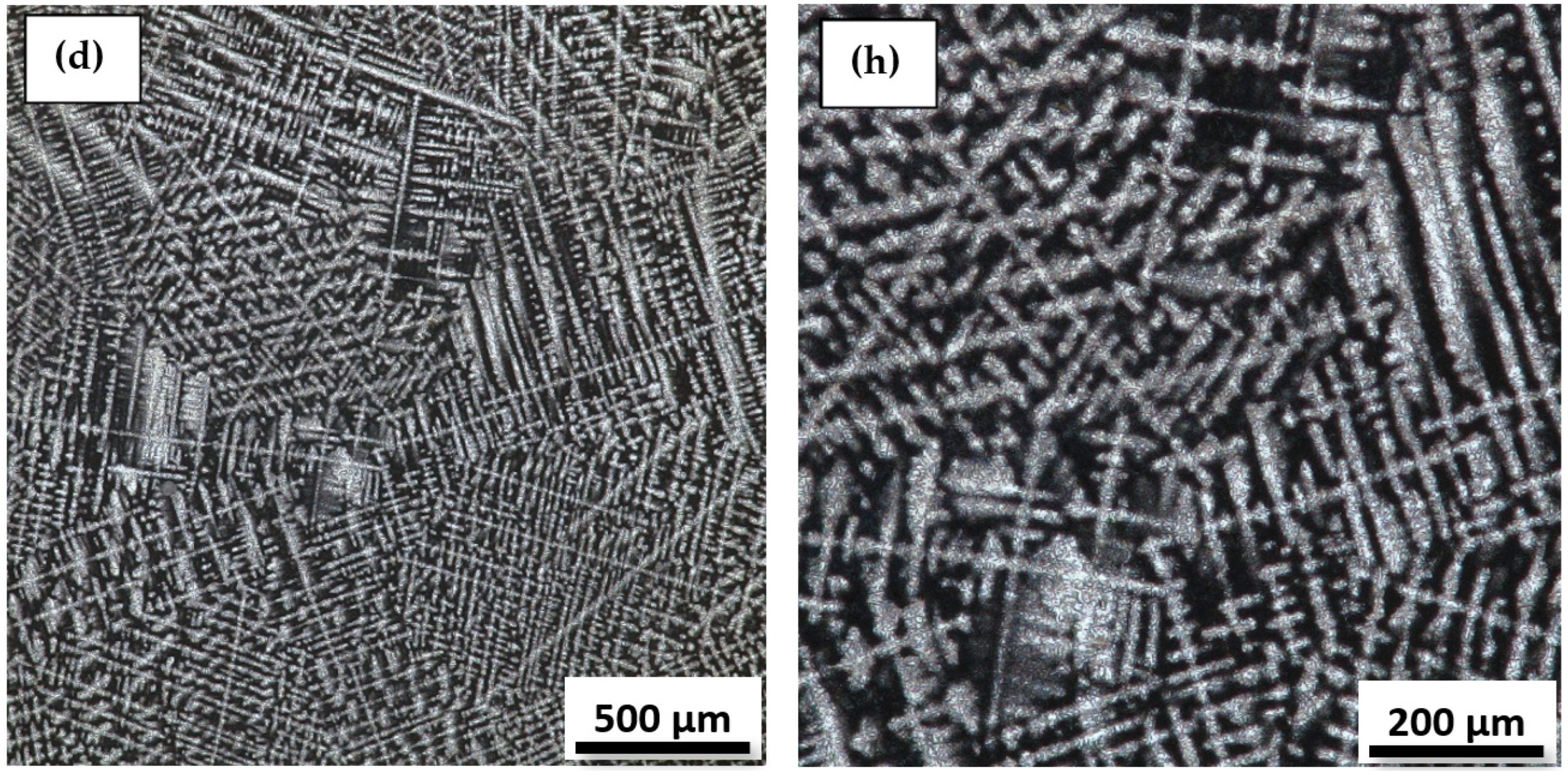 Applsci 12 11241 g006b