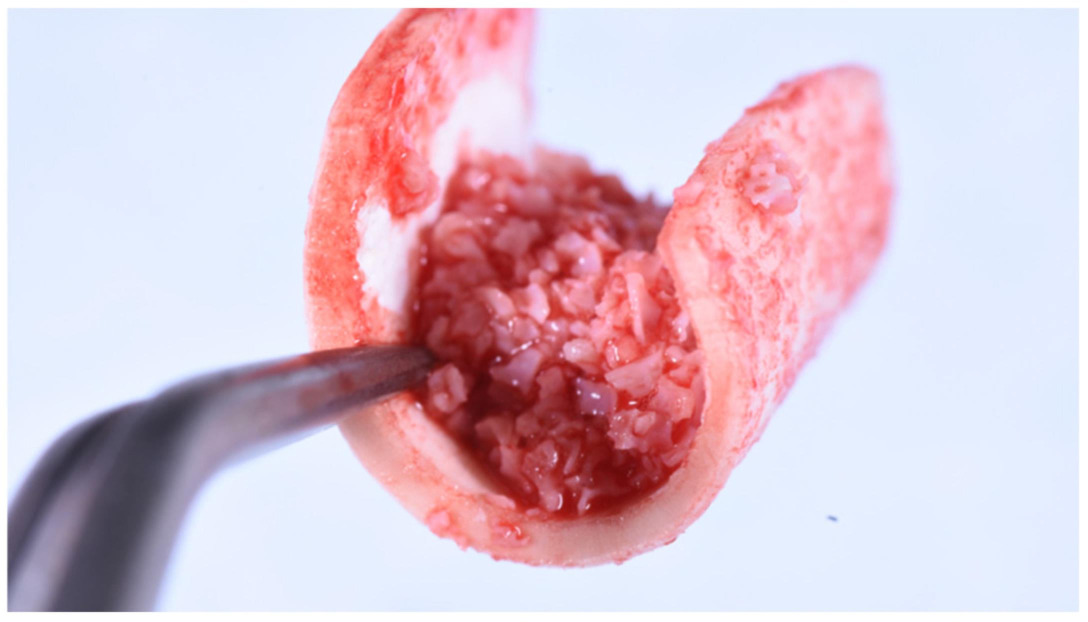 Applsci 12 11247 g002