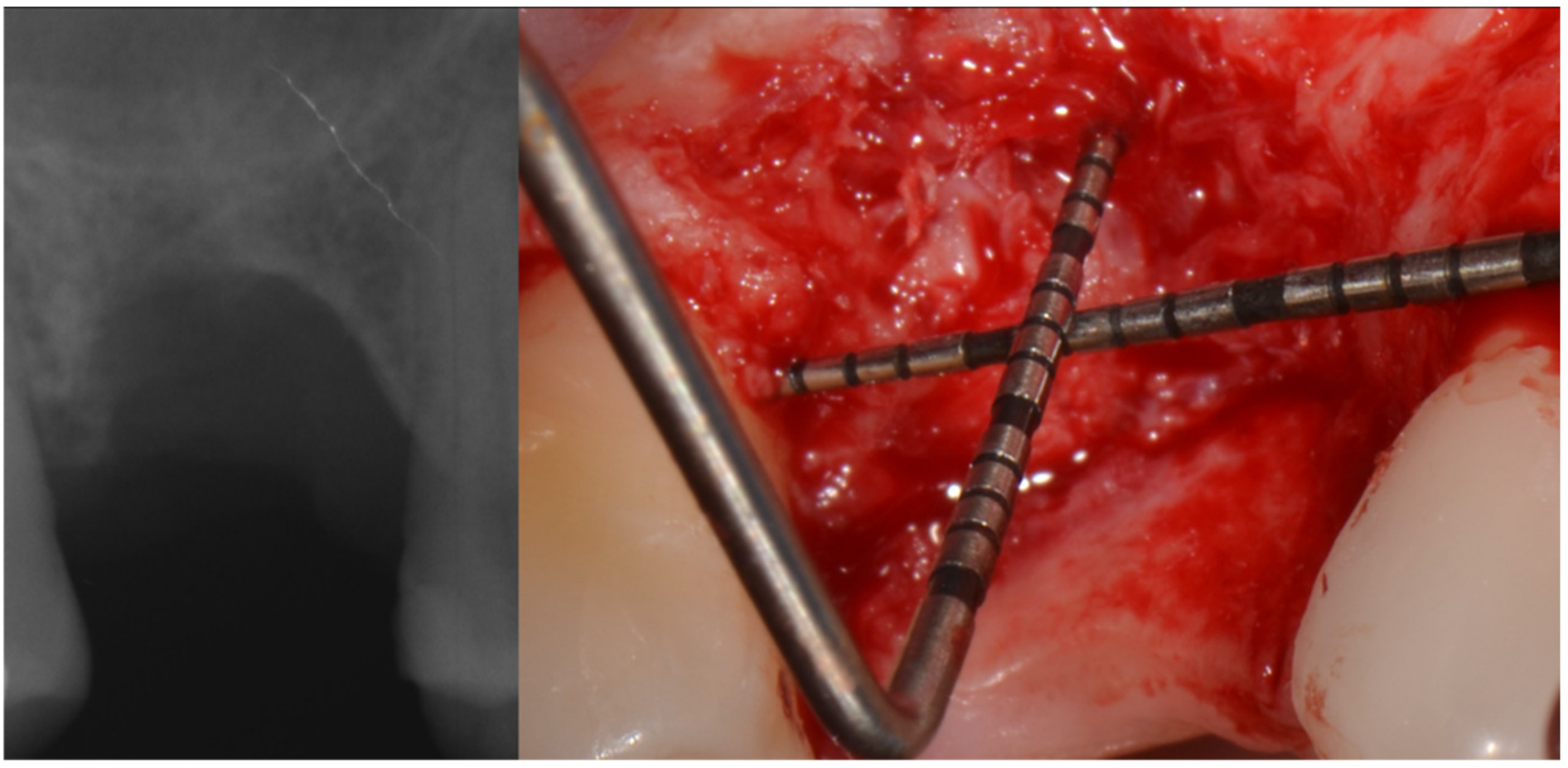 Applsci 12 11247 g006