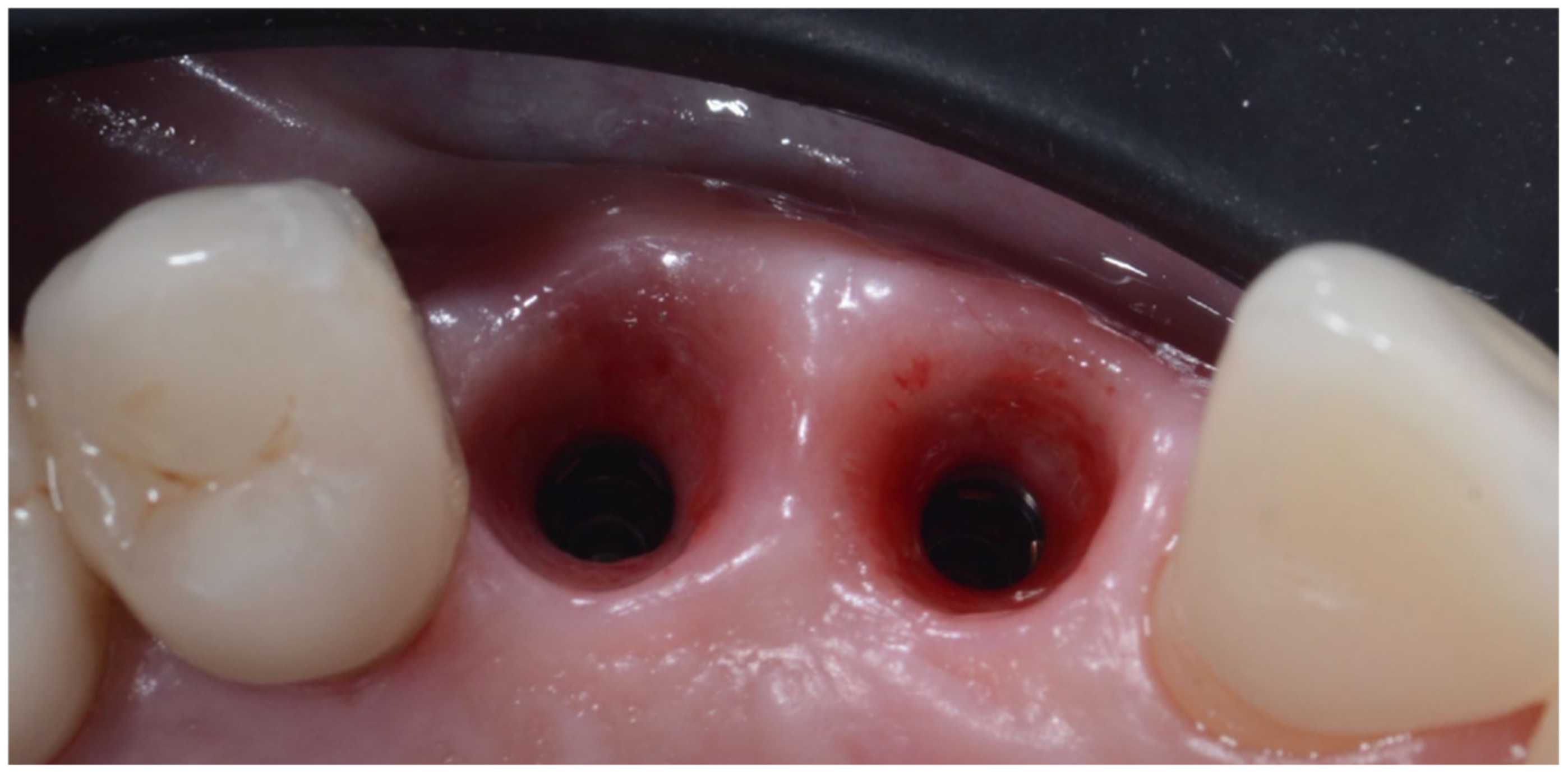 Applsci 12 11247 g019