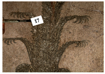 Applsci 12 11264 i001 Applsci 12 11264 i001