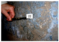 Applsci 12 11264 i005 Applsci 12 11264 i005