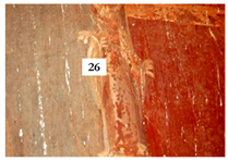 Applsci 12 11264 i008 Applsci 12 11264 i008