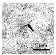 Applsci 12 11266 i001 Applsci 12 11266 i001