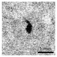 Applsci 12 11266 i003 Applsci 12 11266 i003