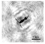 Applsci 12 11266 i004 Applsci 12 11266 i004