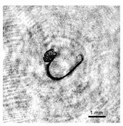 Applsci 12 11266 i006 Applsci 12 11266 i006