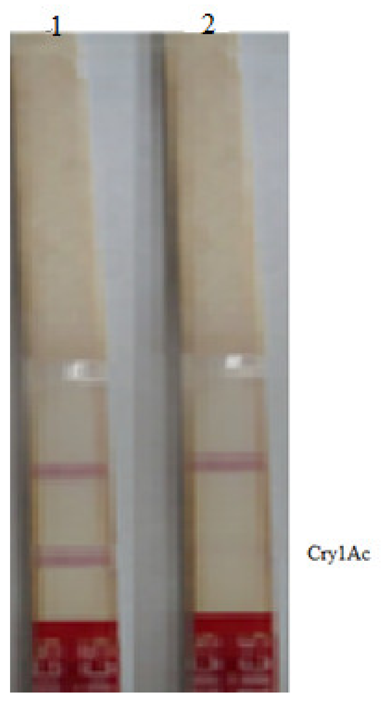 Applsci 12 11275 g002 Applsci 12 11275 g002