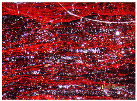 Applsci 12 11283 i001 Applsci 12 11283 i001
