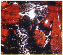 Applsci 12 11283 i004 Applsci 12 11283 i004