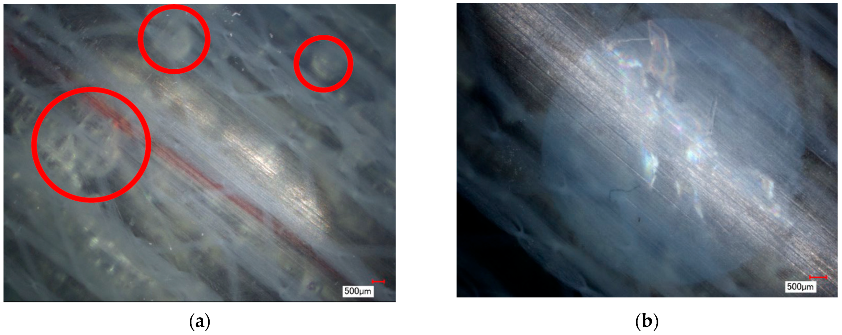 Applsci 12 11307 g002 Applsci 12 11307 g002