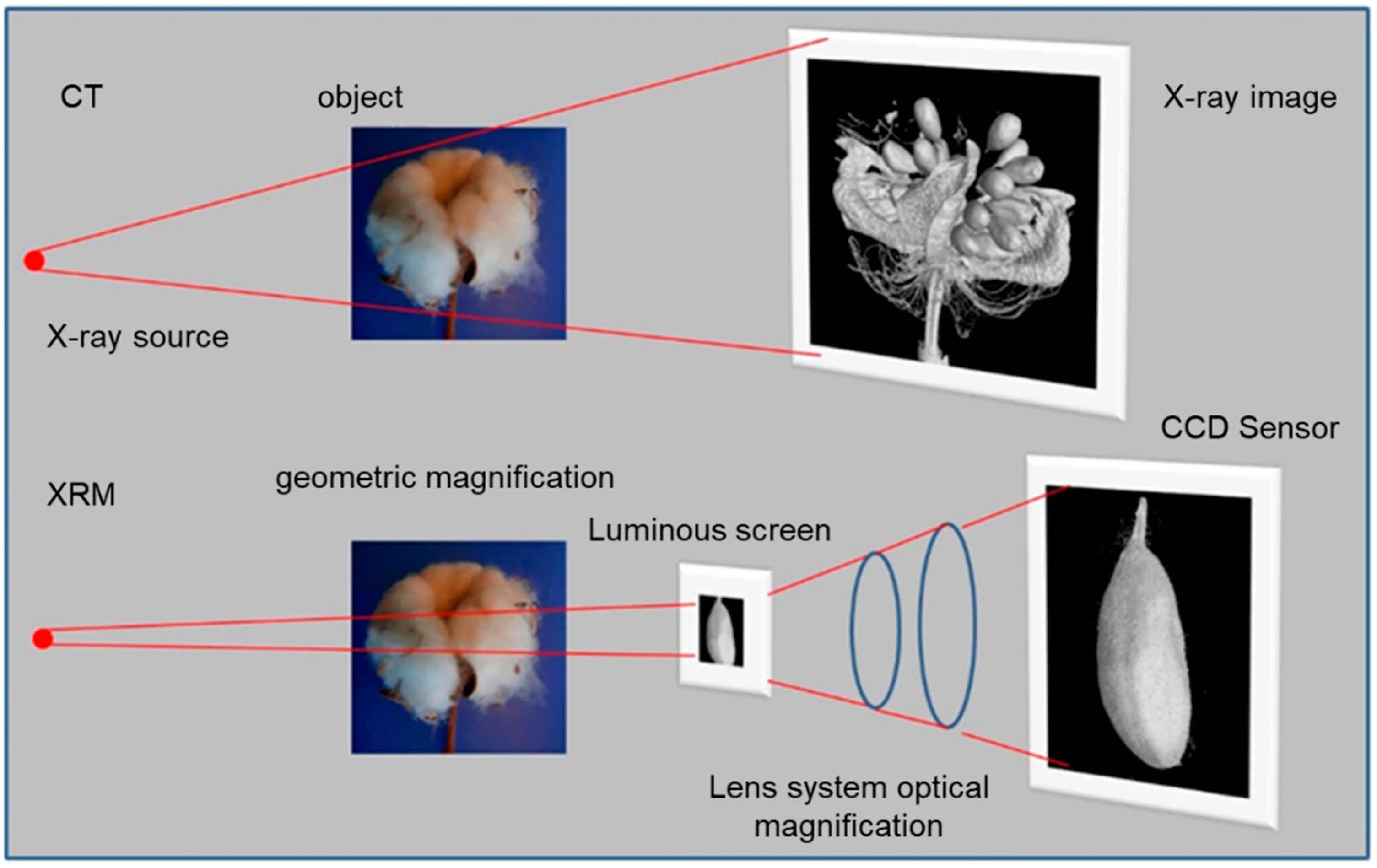 Applsci 12 11307 g006 Applsci 12 11307 g006