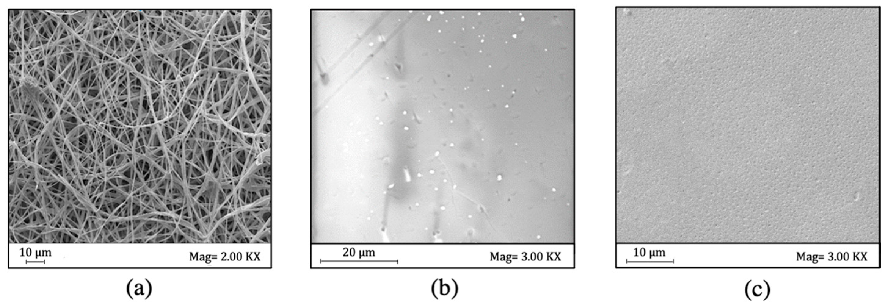 Applsci 12 11311 g003 Applsci 12 11311 g003