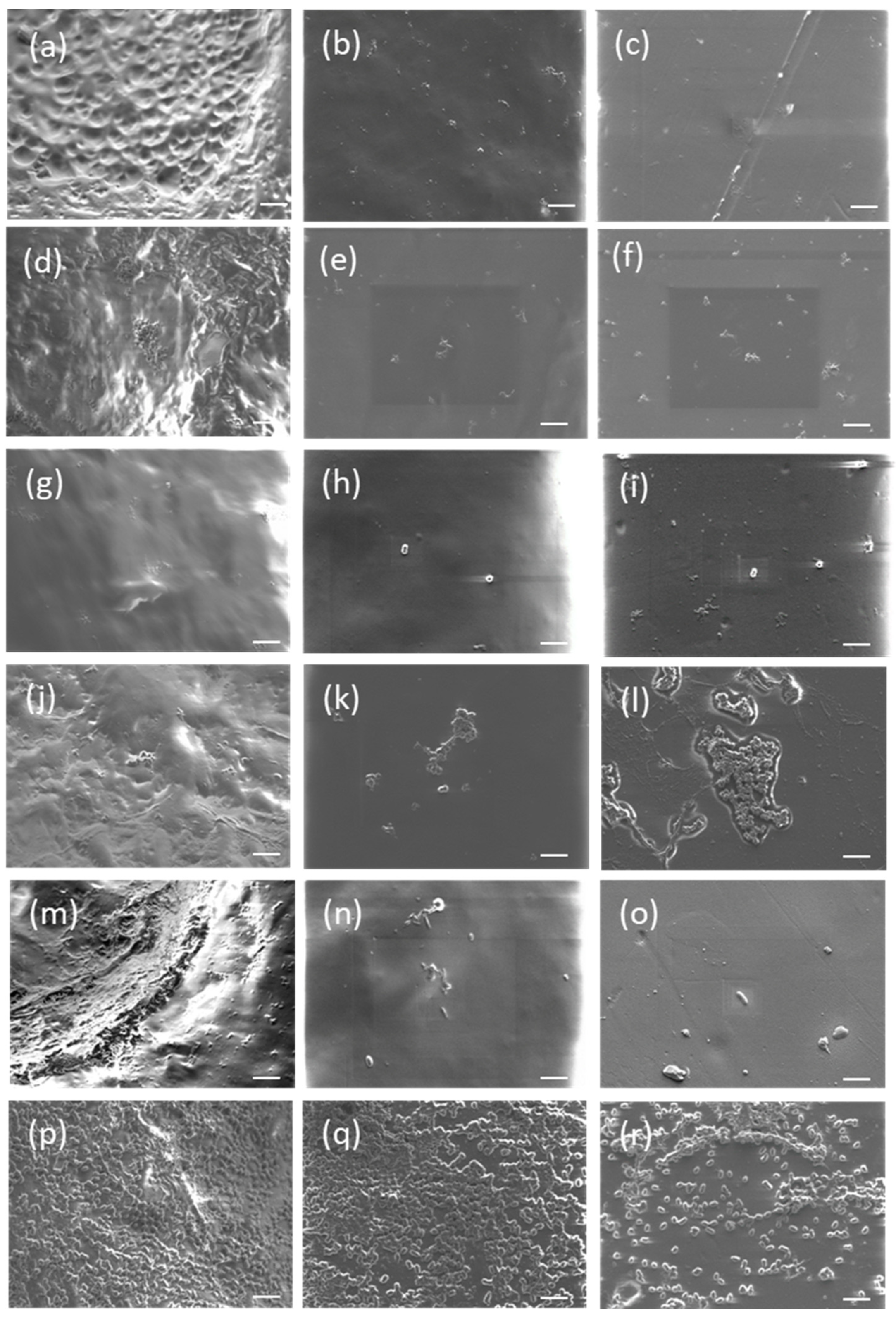 Applsci 12 11358 g001