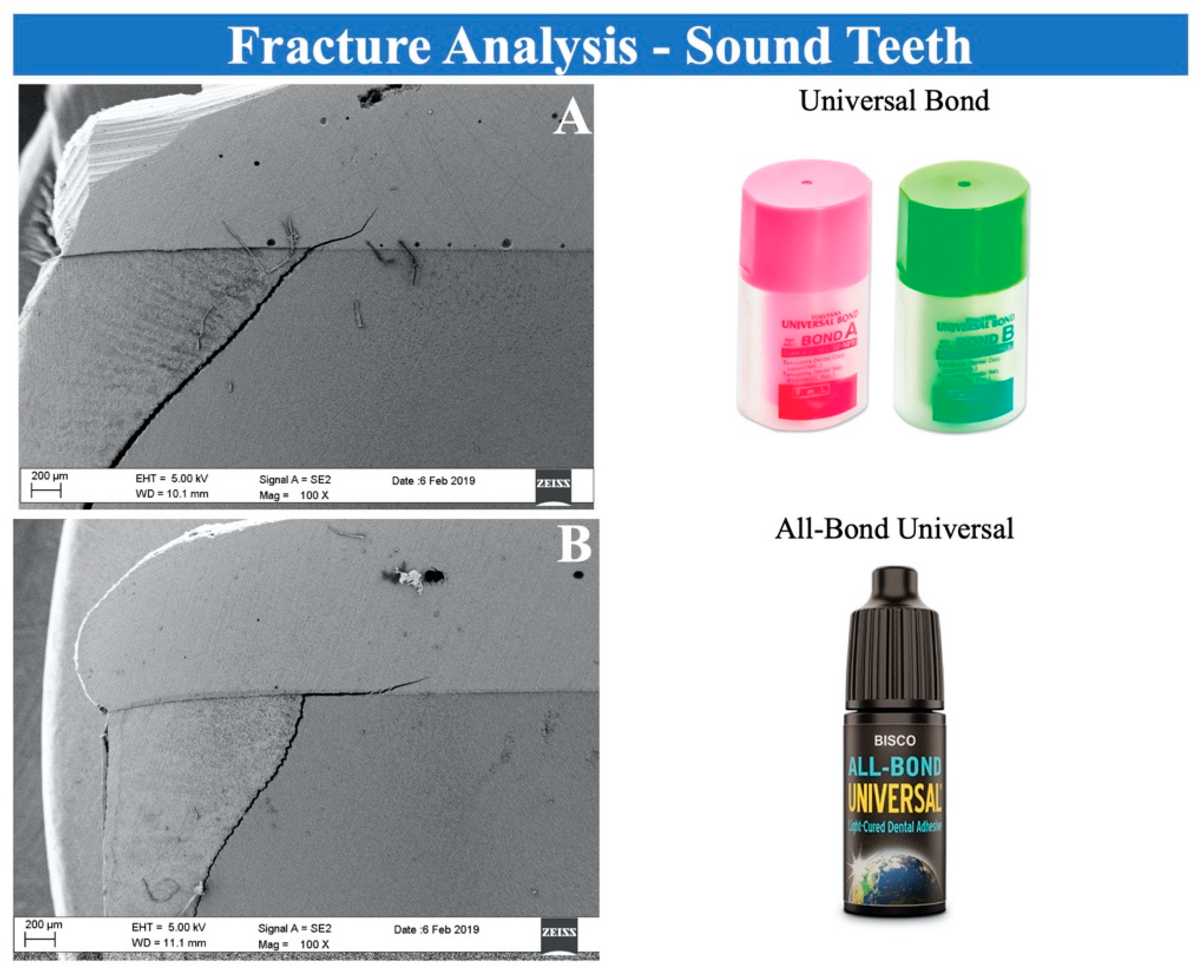 Applsci 12 11372 g002