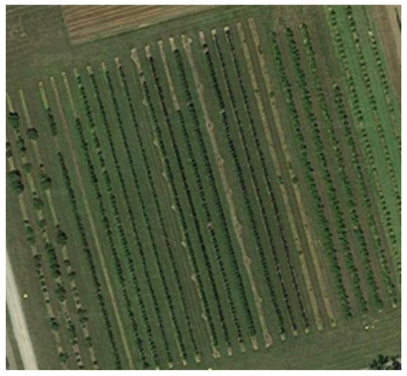 Applsci 12 11420 g002