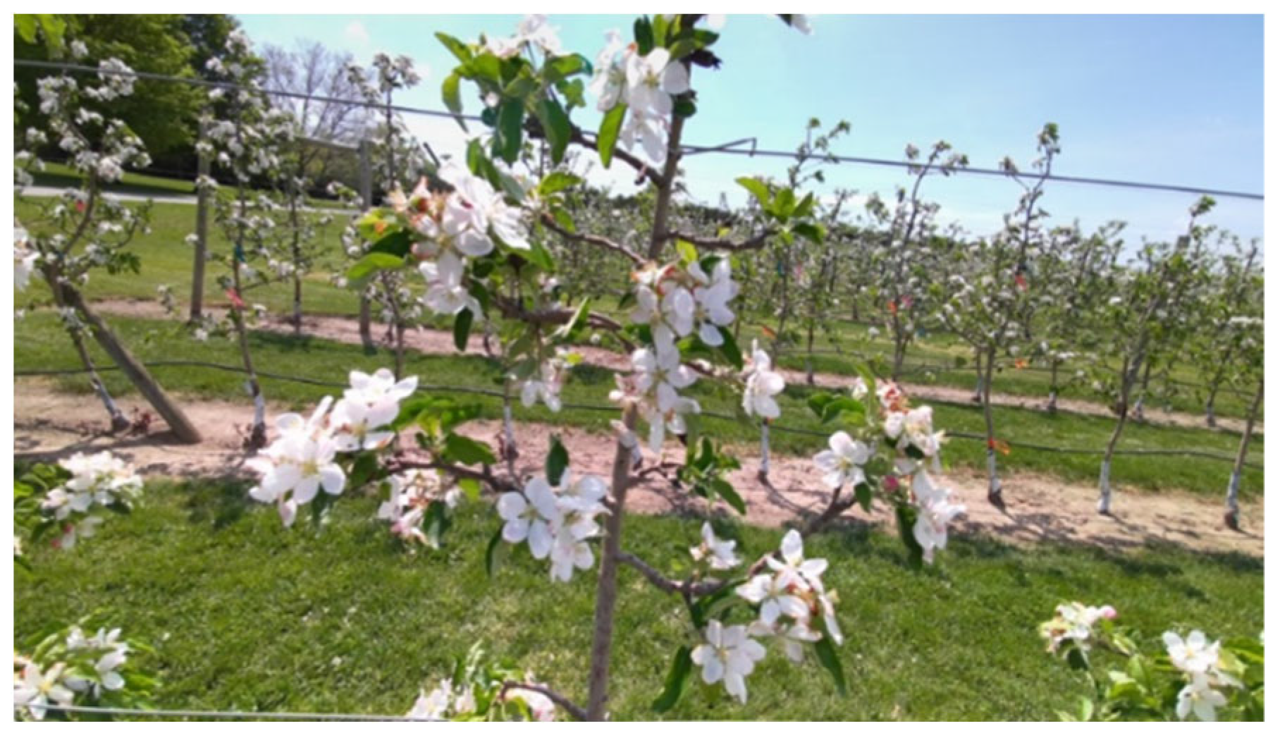 Applsci 12 11420 g003