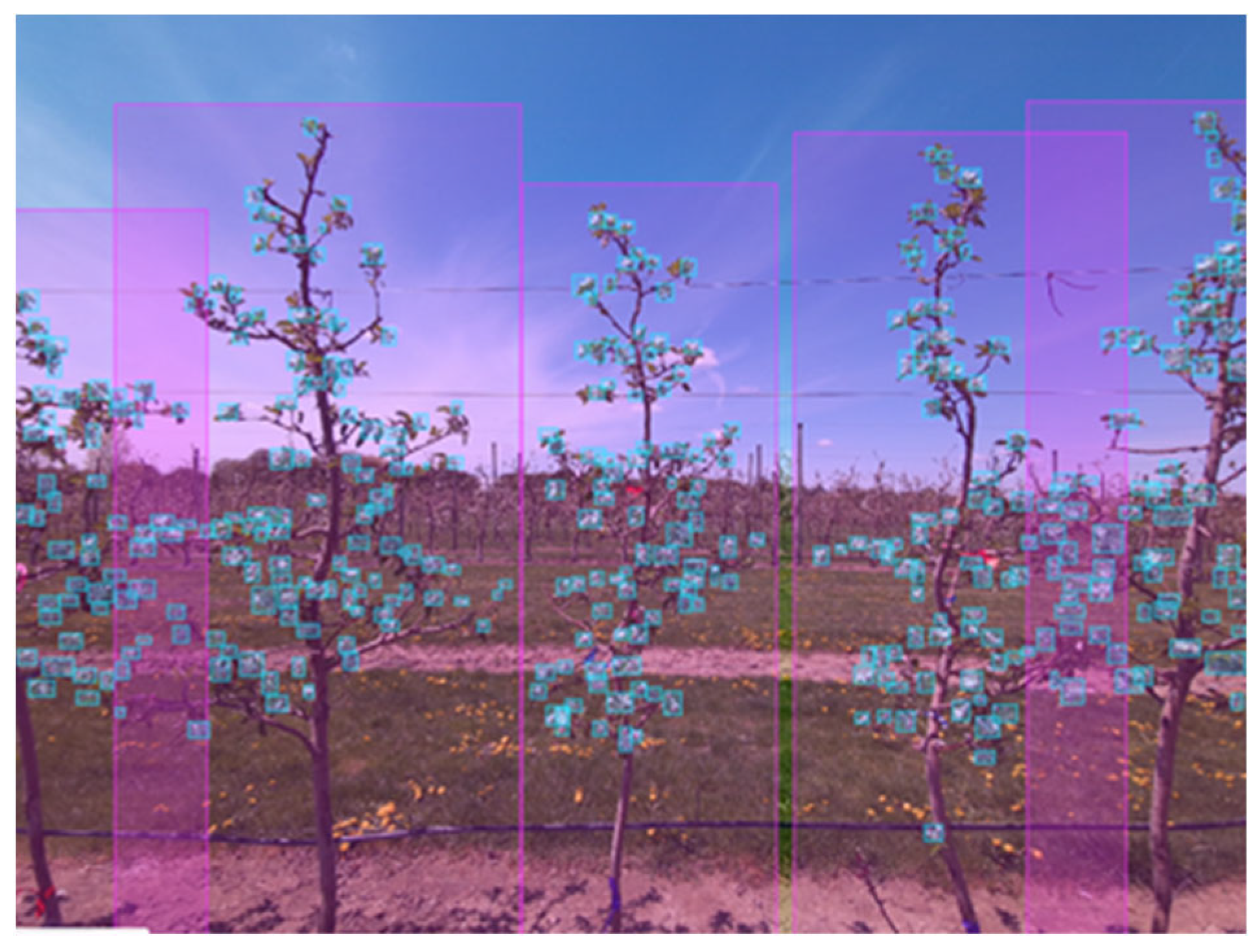 Applsci 12 11420 g007