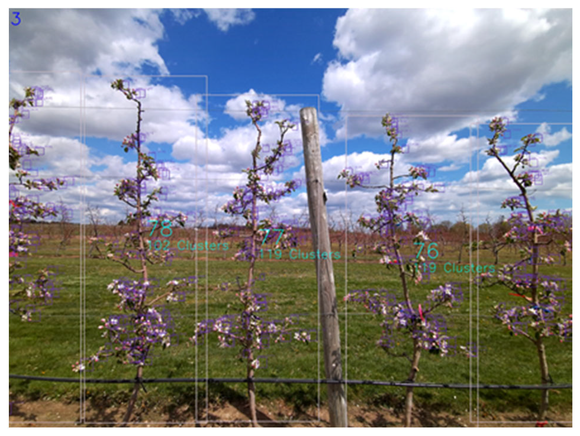 Applsci 12 11420 g013