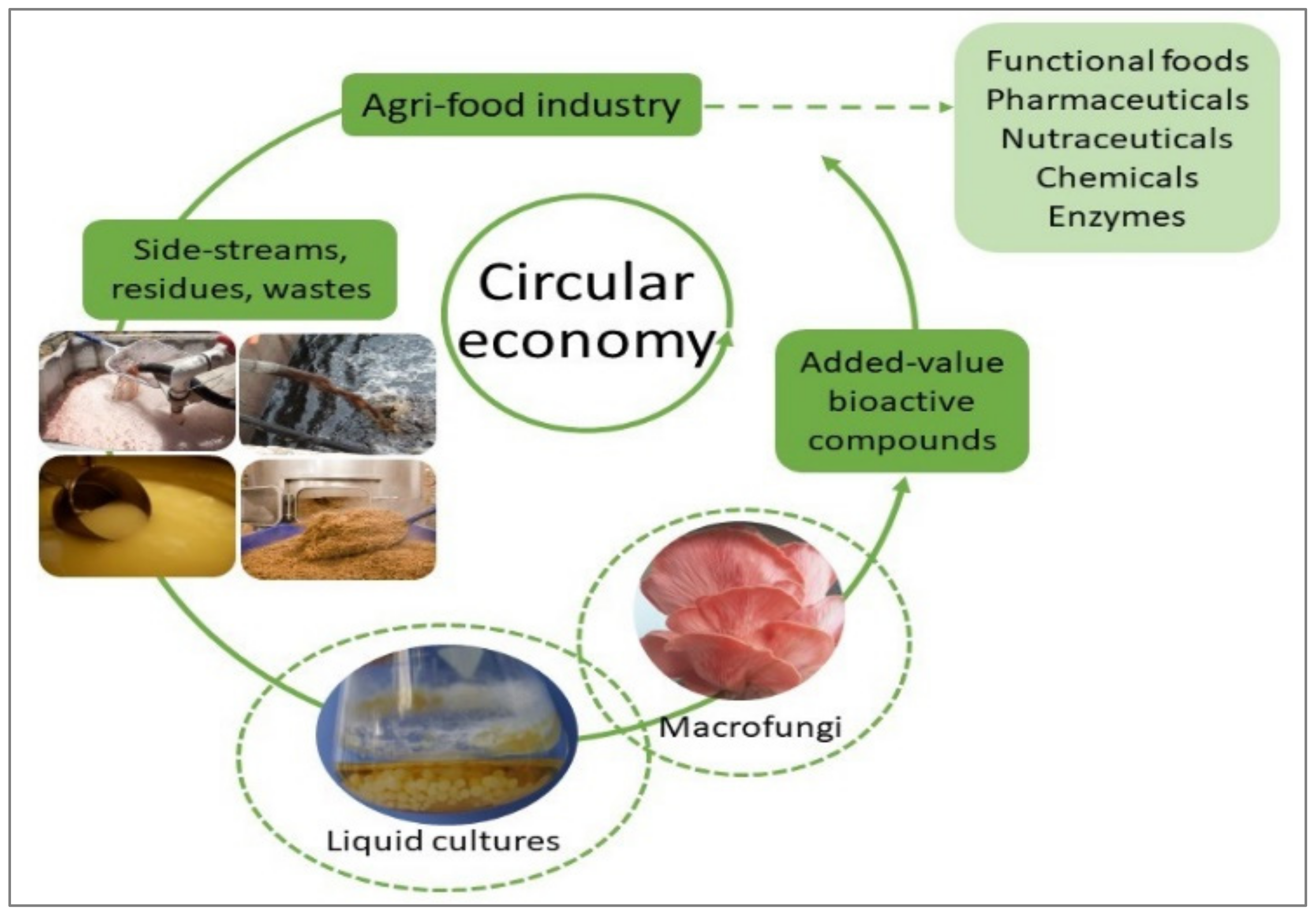 Applsci 12 11426 g001