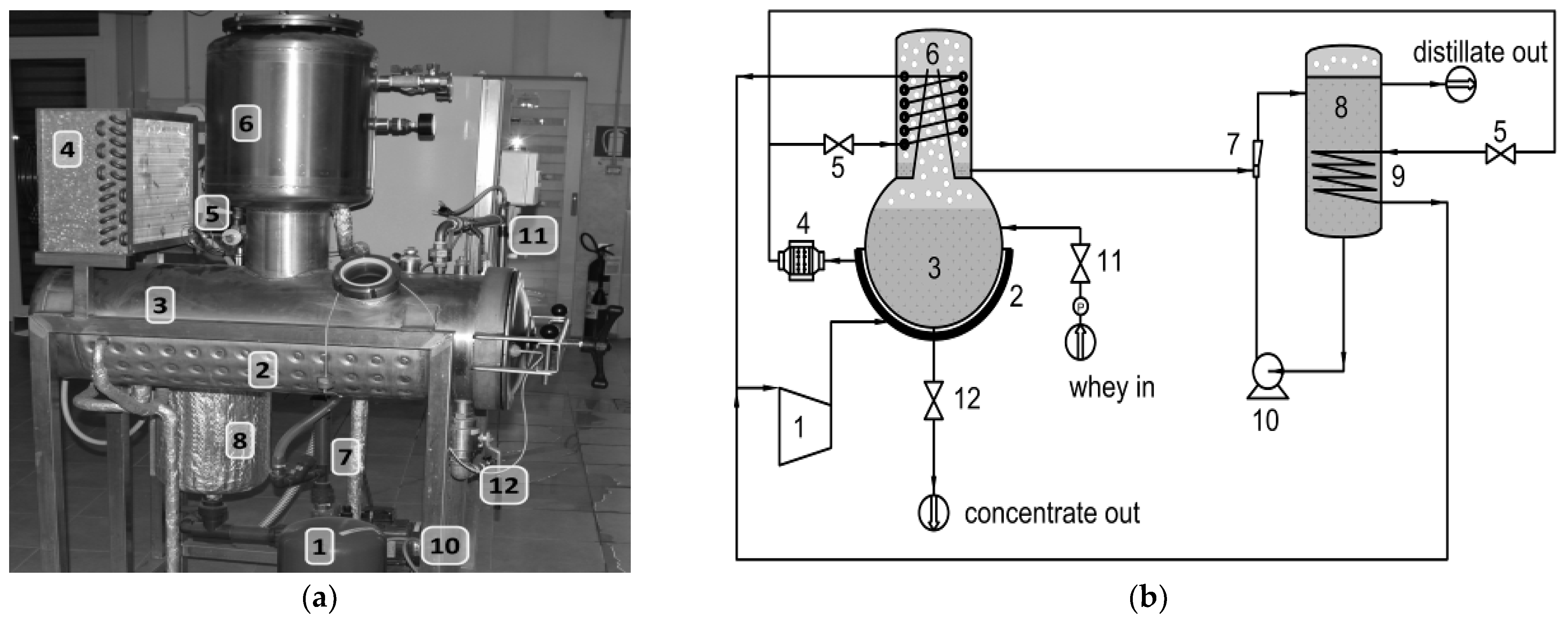 Applsci 12 11465 g001