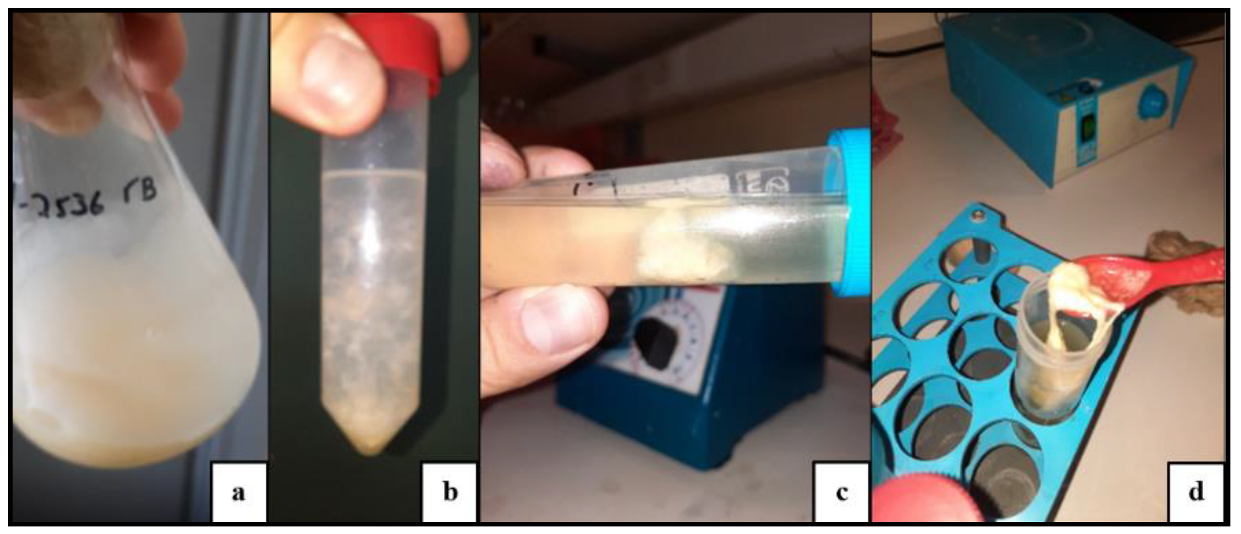 Applsci 12 11471 g002