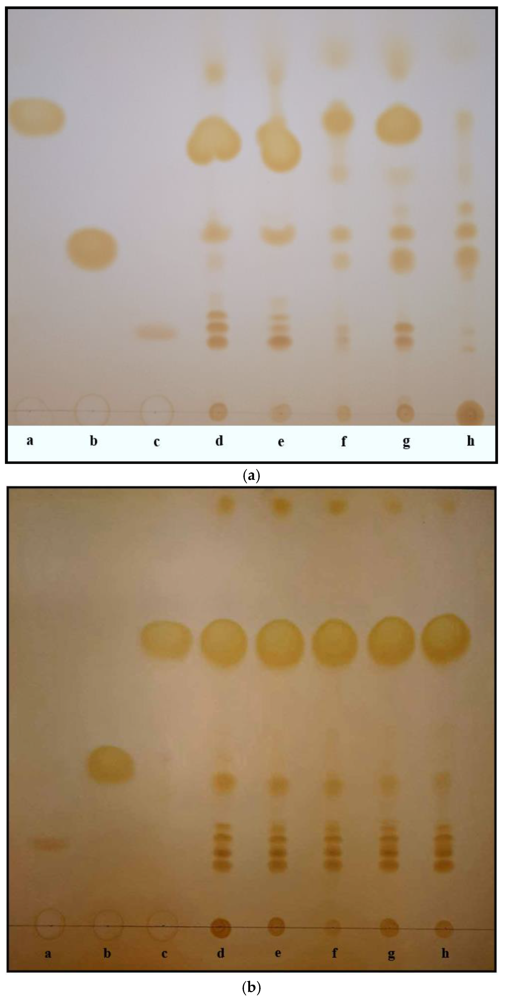 Applsci 12 11471 g005