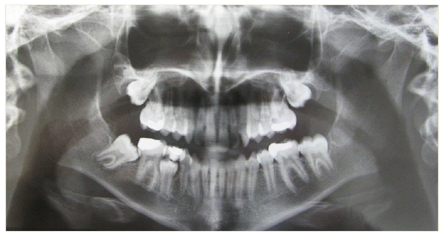 Applsci 12 11520 g002