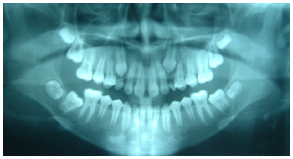 Applsci 12 11520 g003