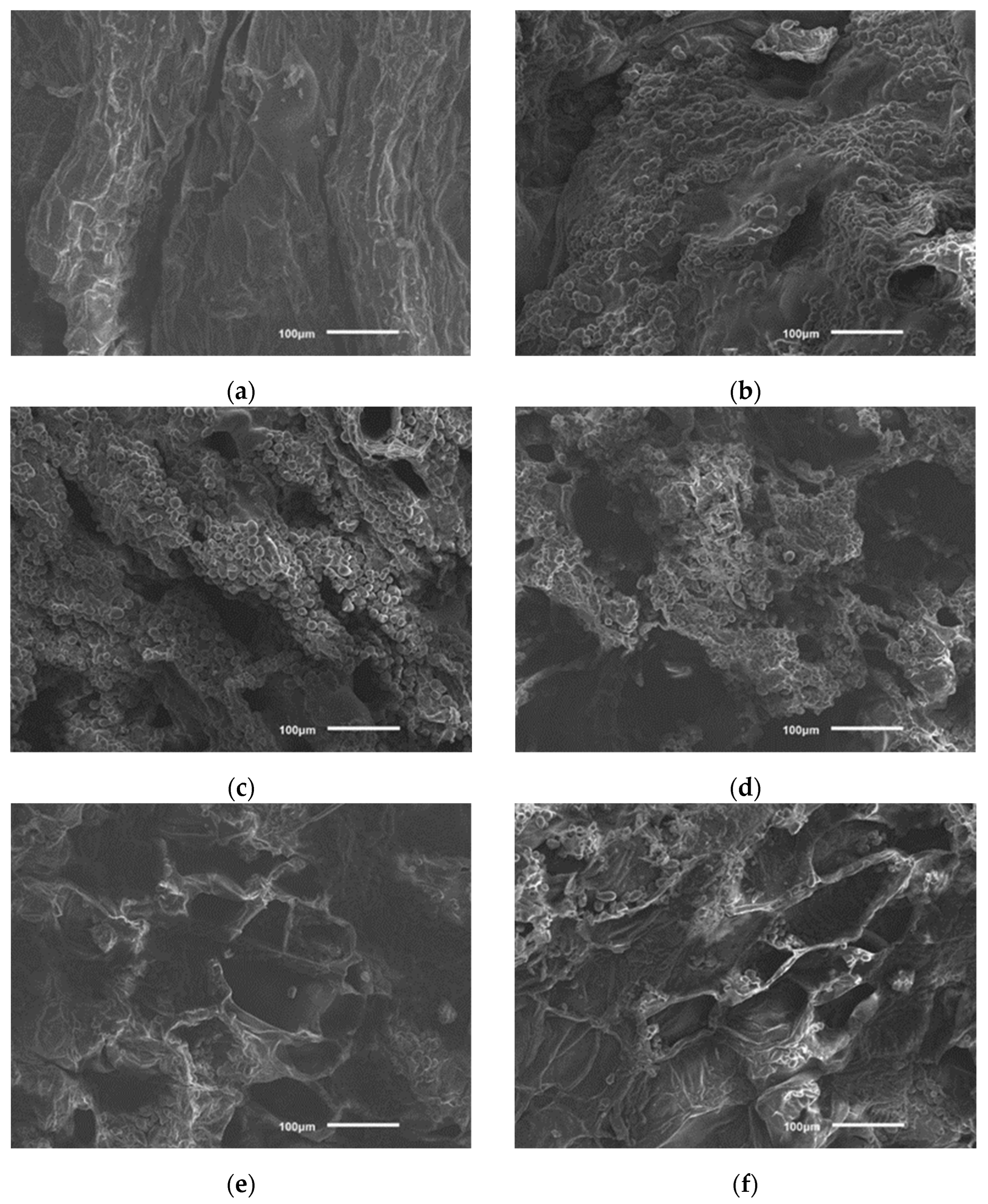 Applsci 12 11525 g012