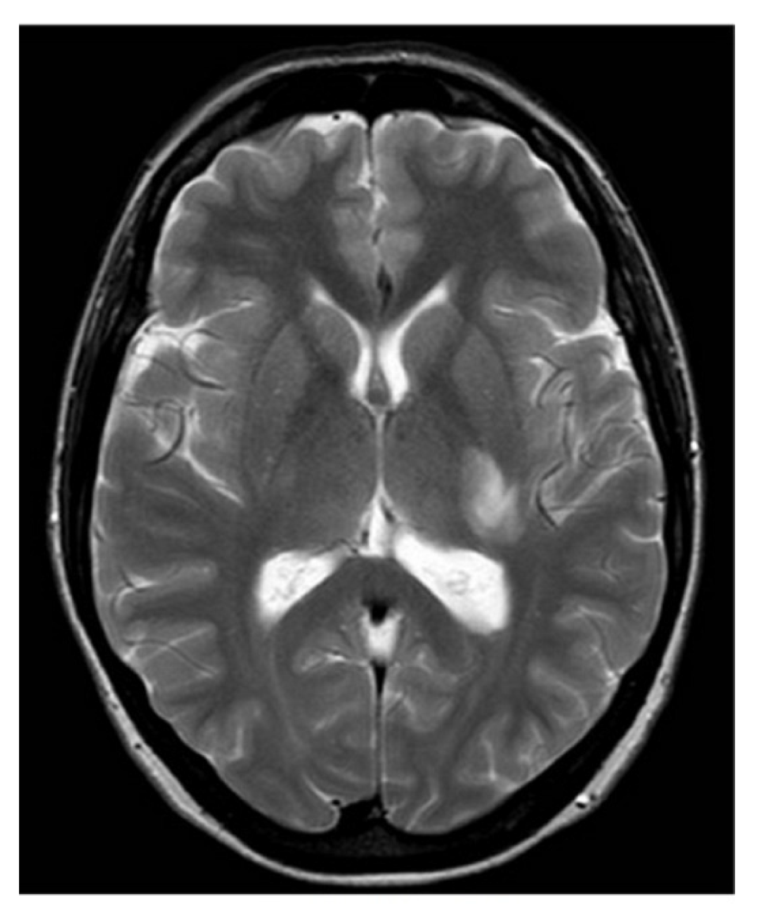 Applsci 12 11531 g001