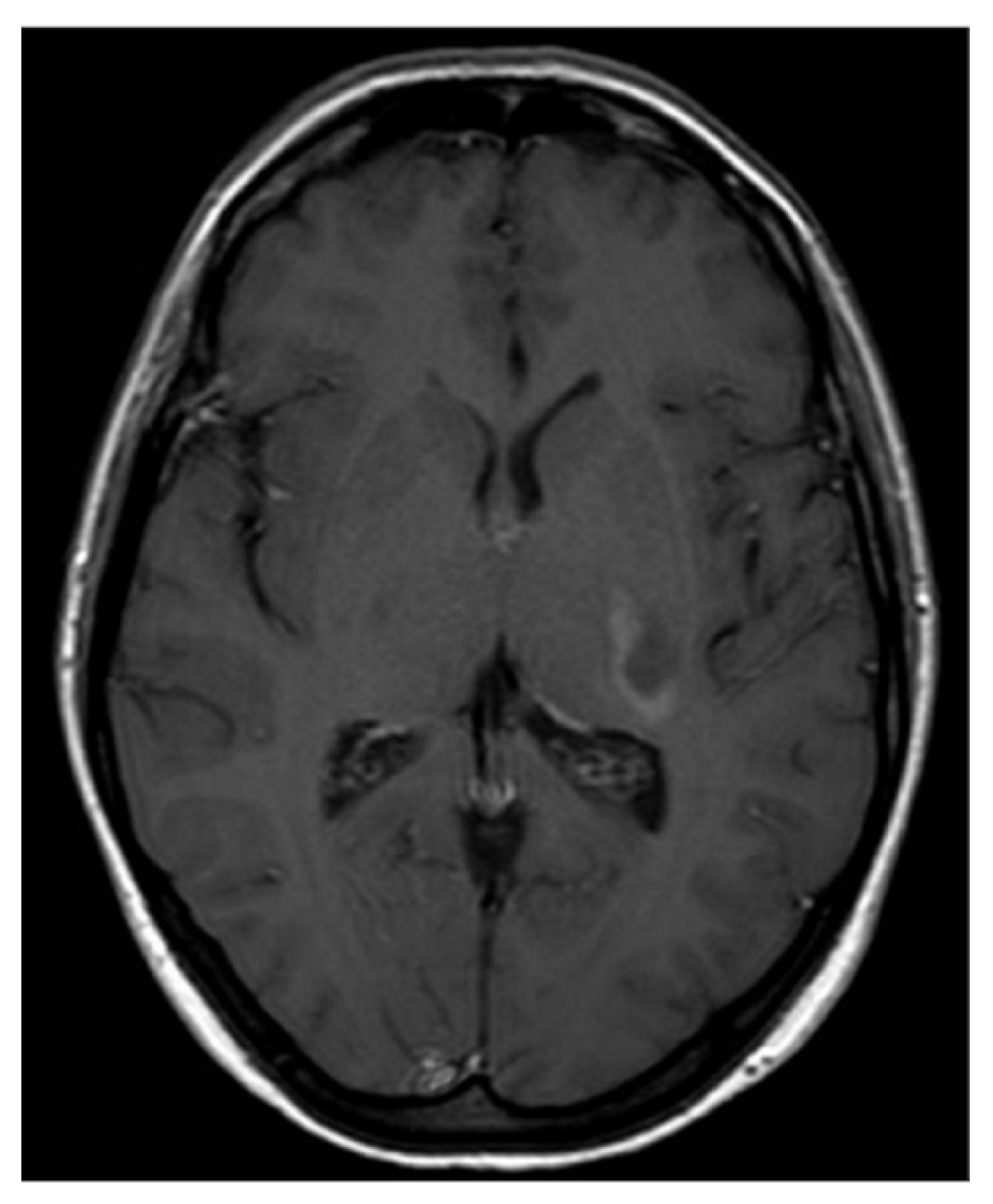 Applsci 12 11531 g002