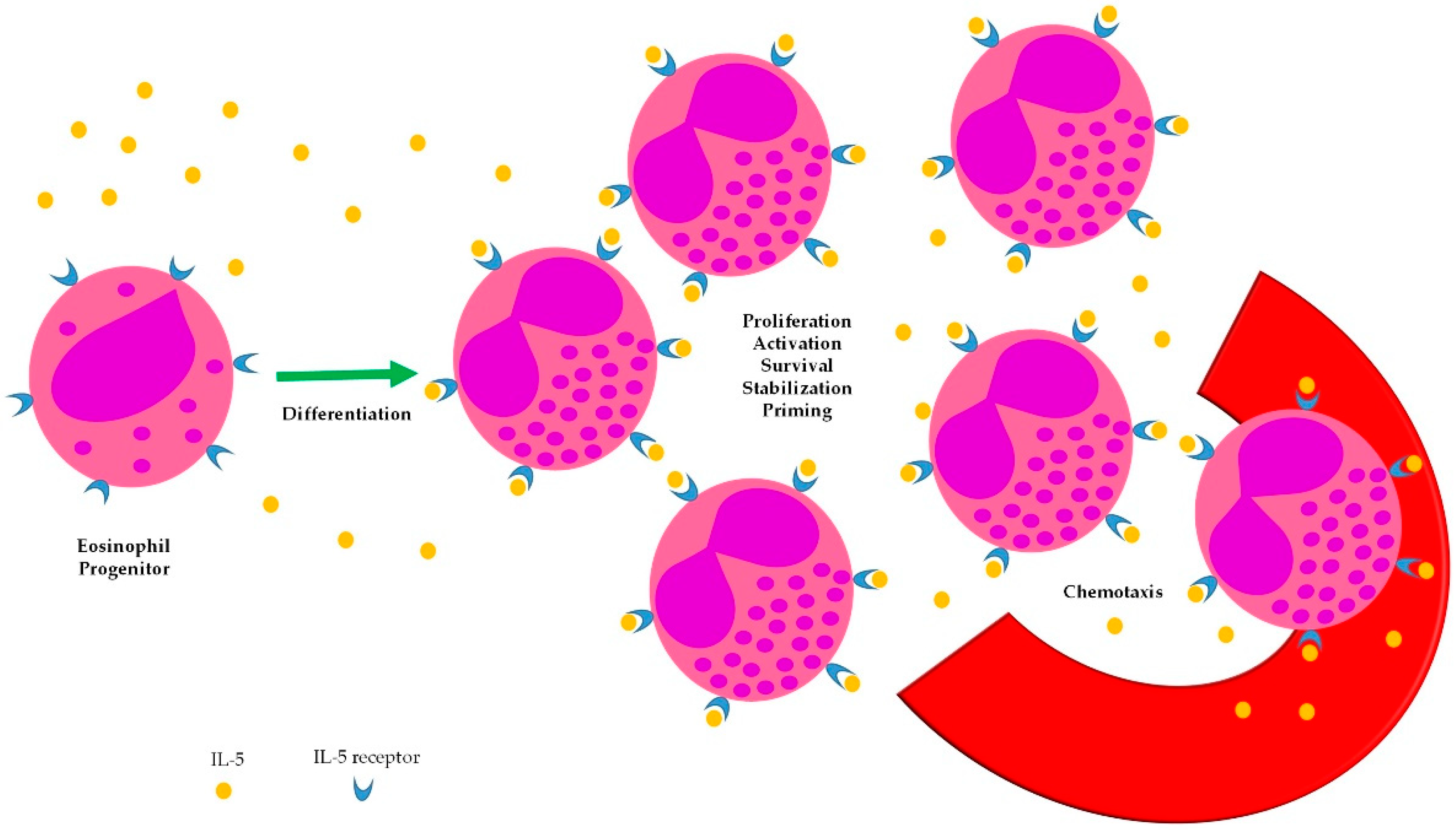 Applsci 12 11535 g001 Applsci 12 11535 g001