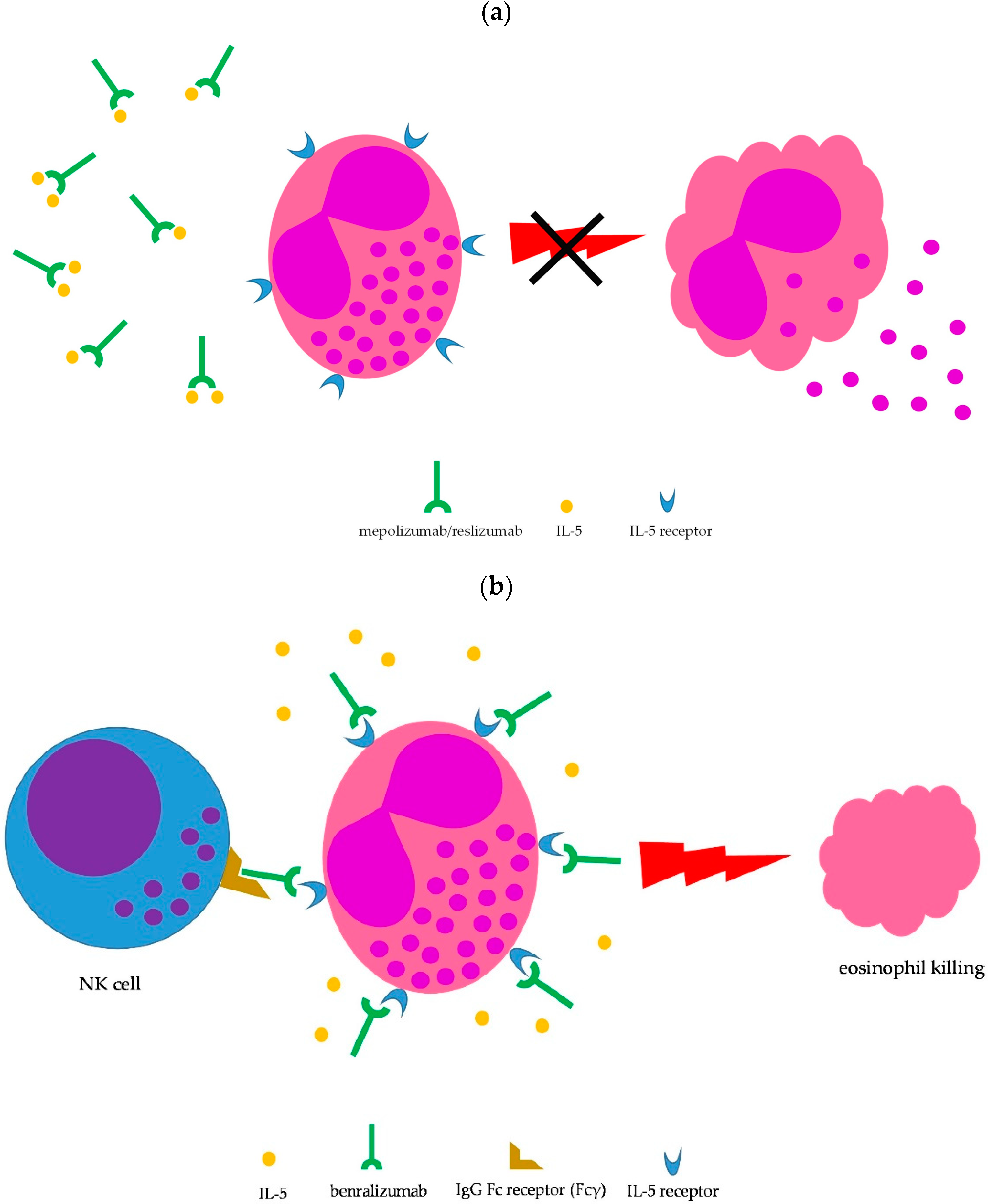 Applsci 12 11535 g003 Applsci 12 11535 g003