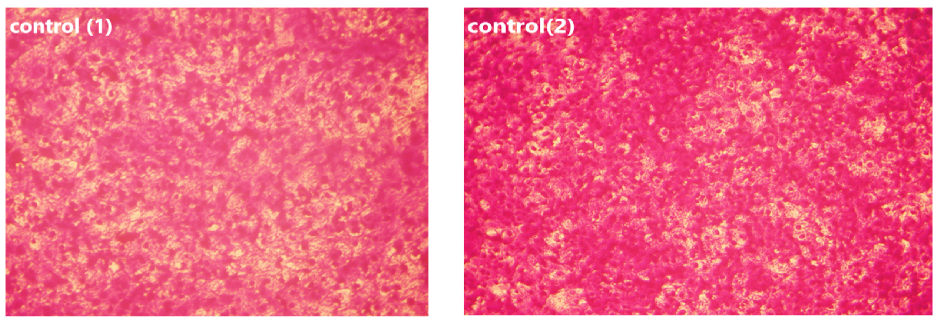 Applsci 12 11546 g011a