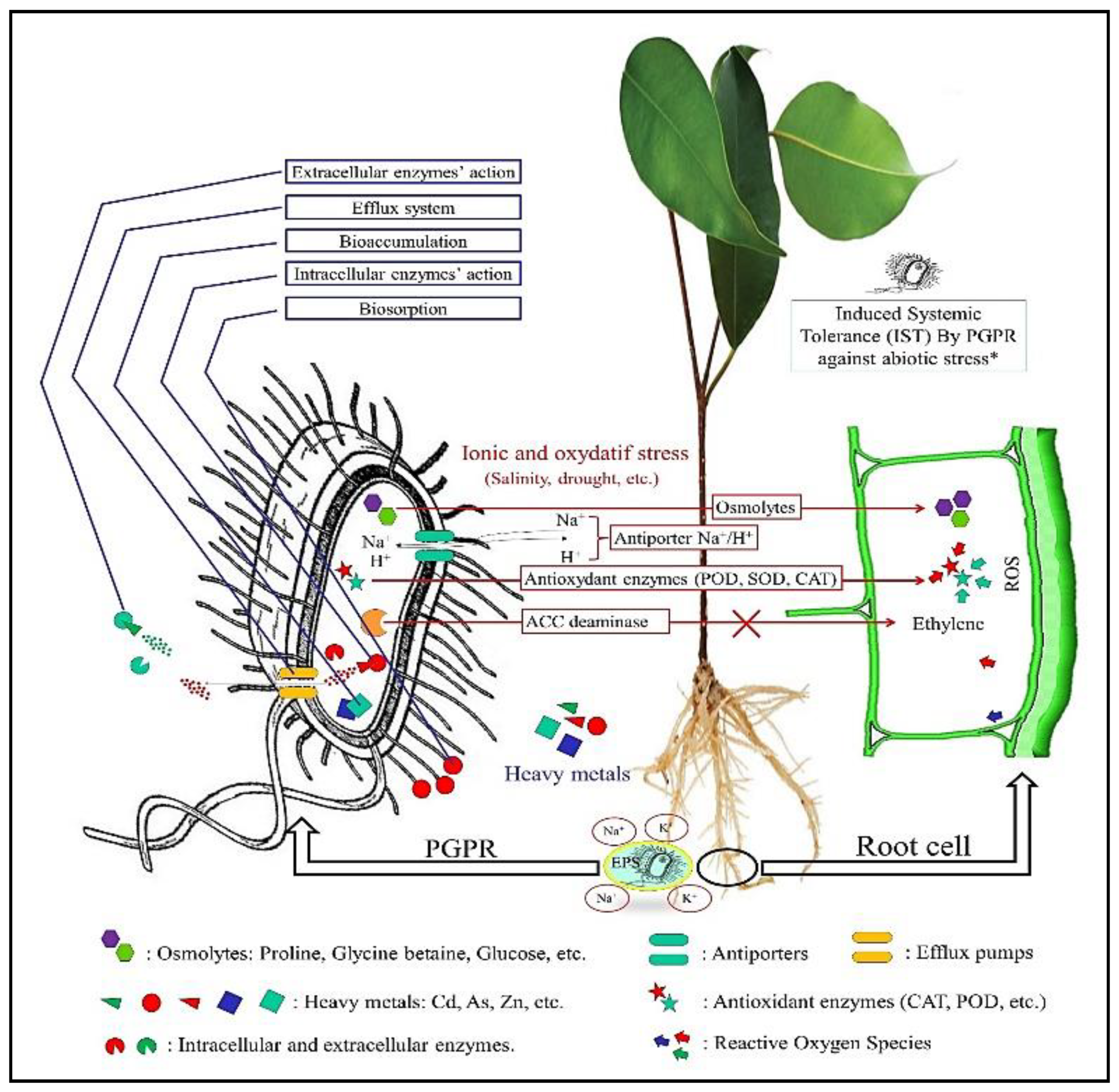 Applsci 12 11567 g001