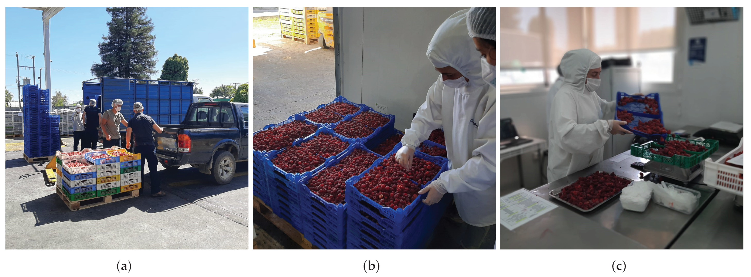 Applsci 12 11586 g001