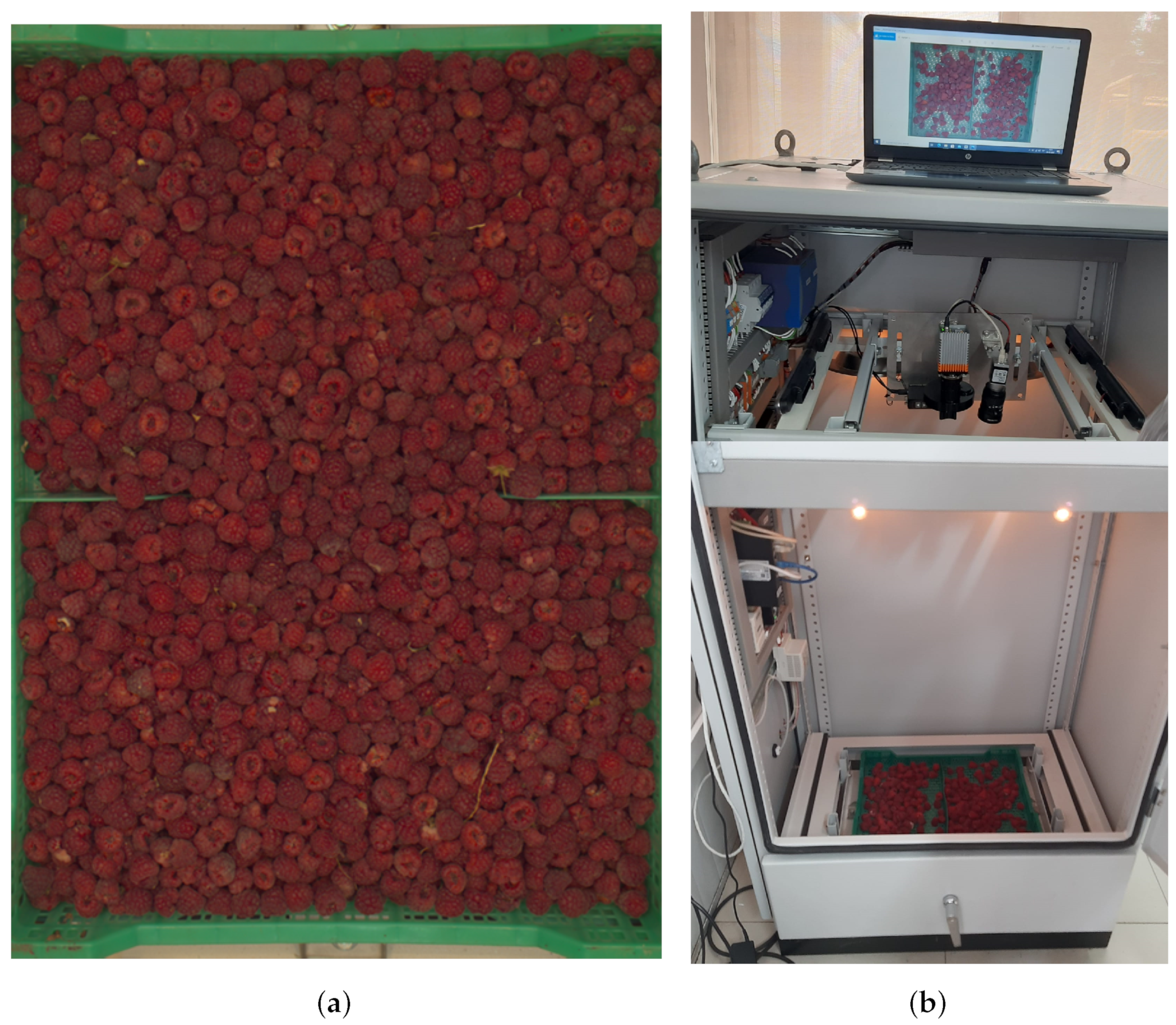 Applsci 12 11586 g002