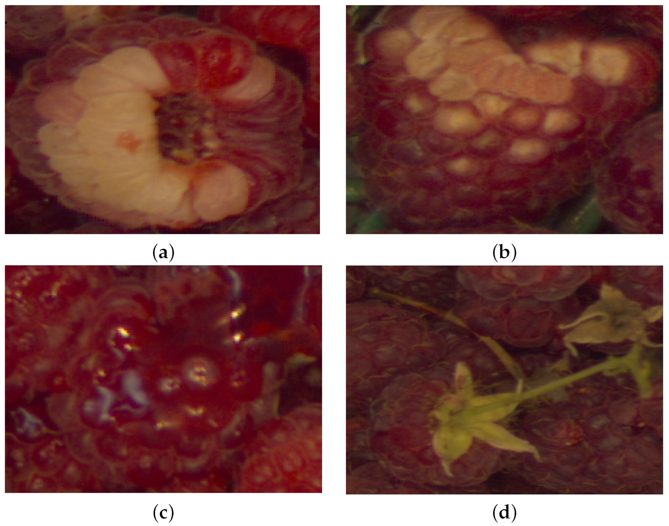 Applsci 12 11586 g003