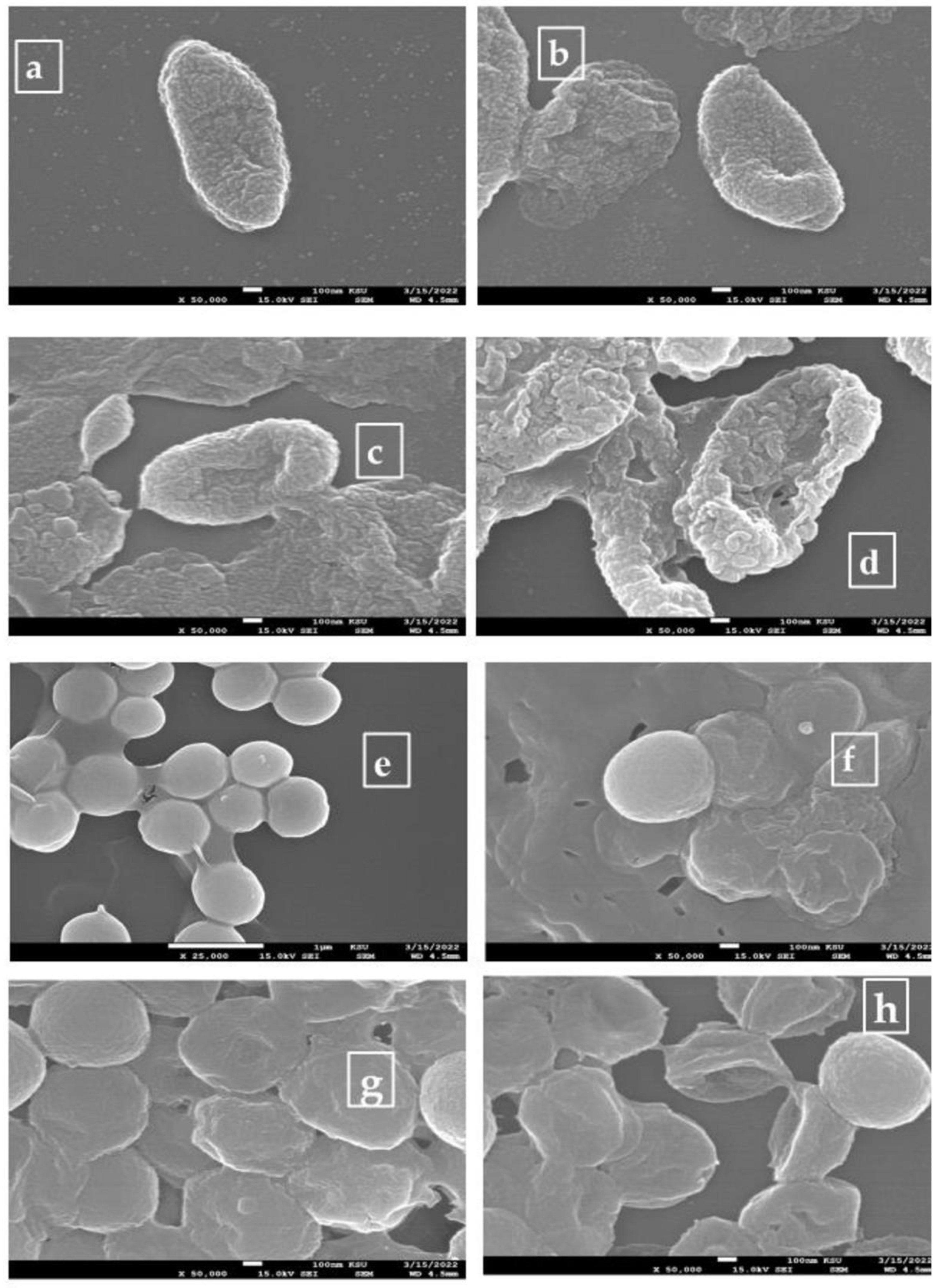 Applsci 12 11613 g004