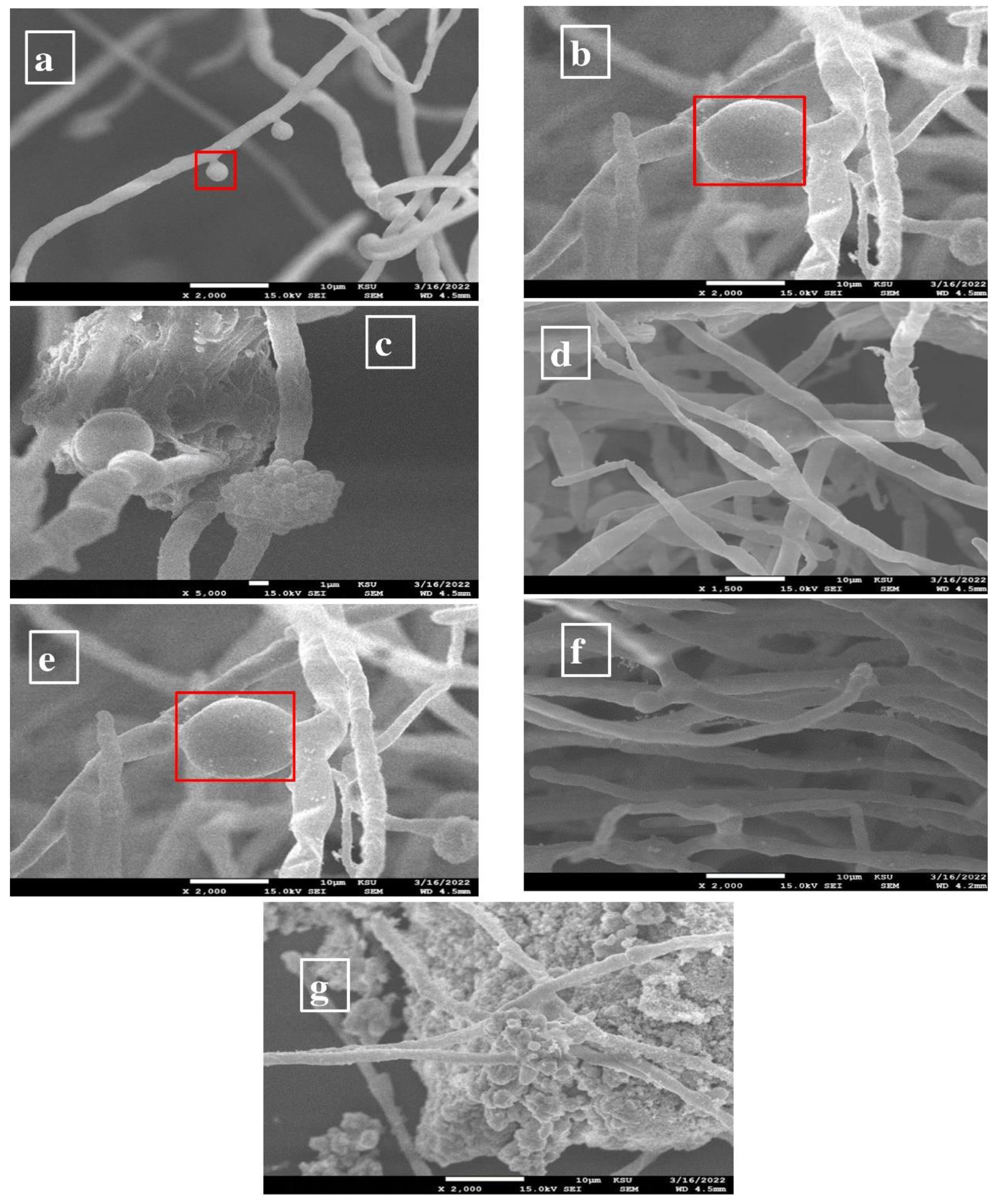 Applsci 12 11613 g005