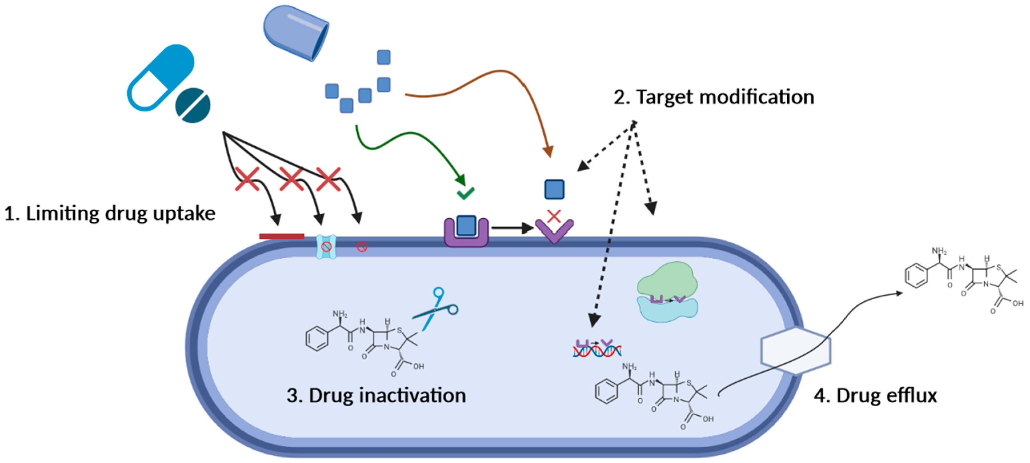 Applsci 12 11615 g001