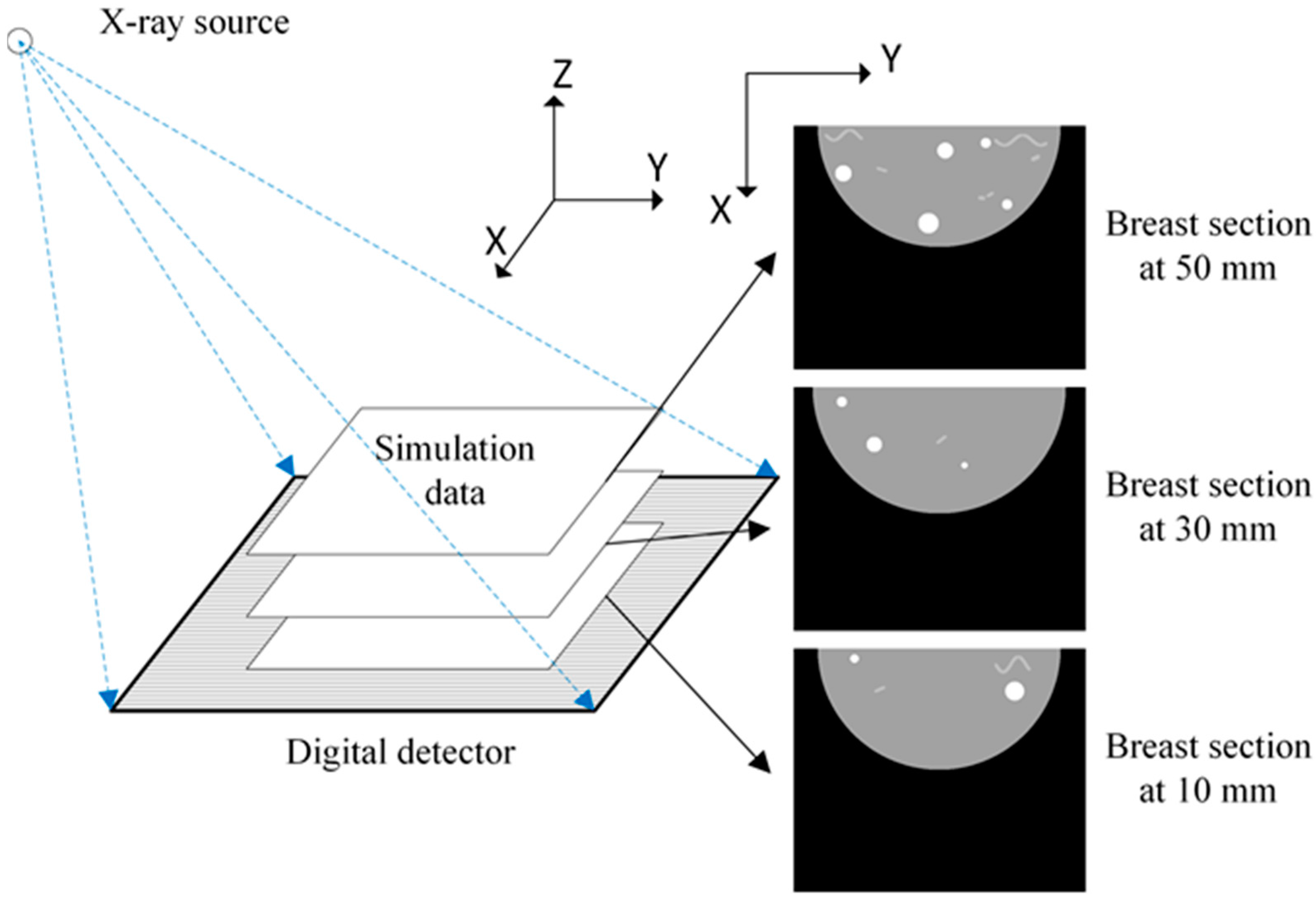 Applsci 12 11627 g003