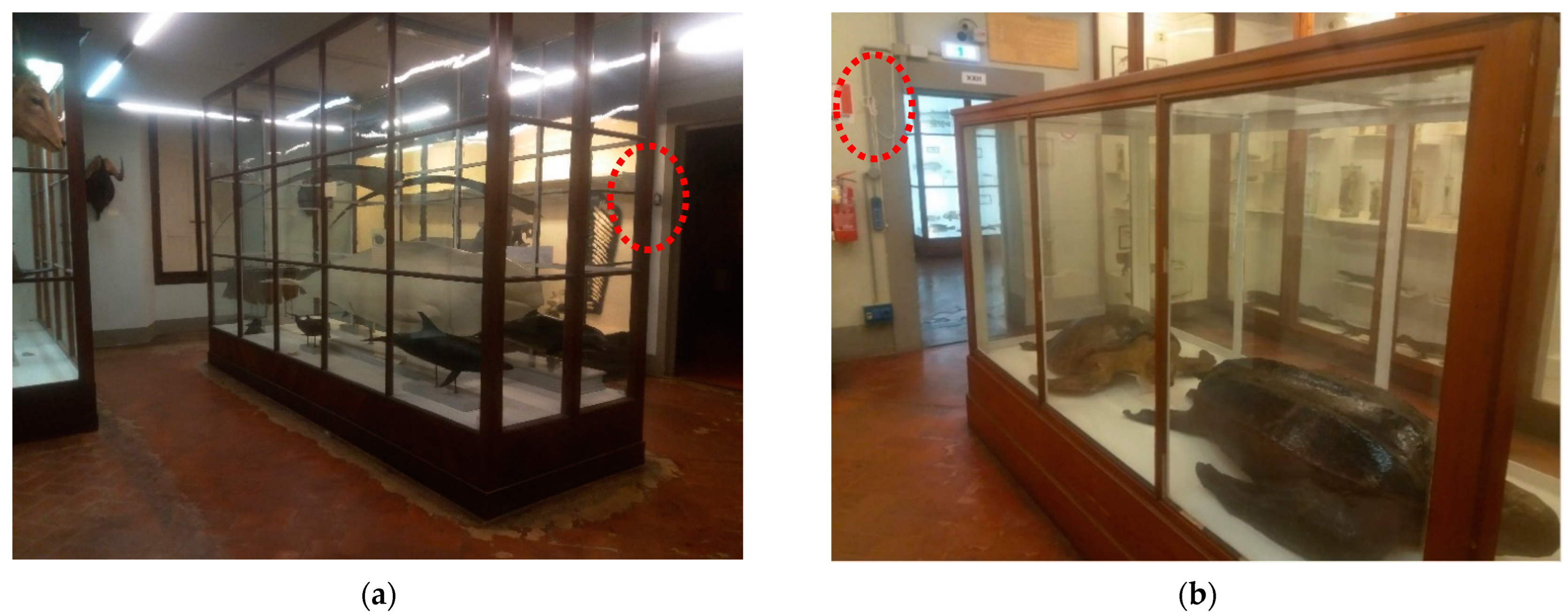 Applsci 12 11632 g007 Applsci 12 11632 g007