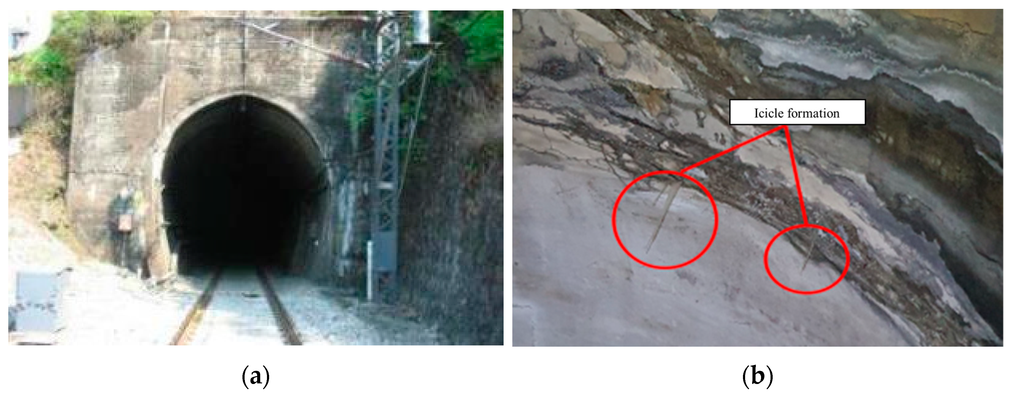 Applsci 12 11645 g007