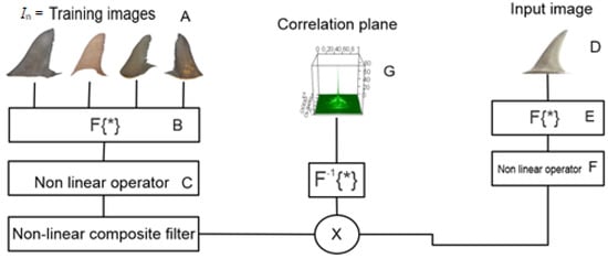 Applsci 12 11646 g003