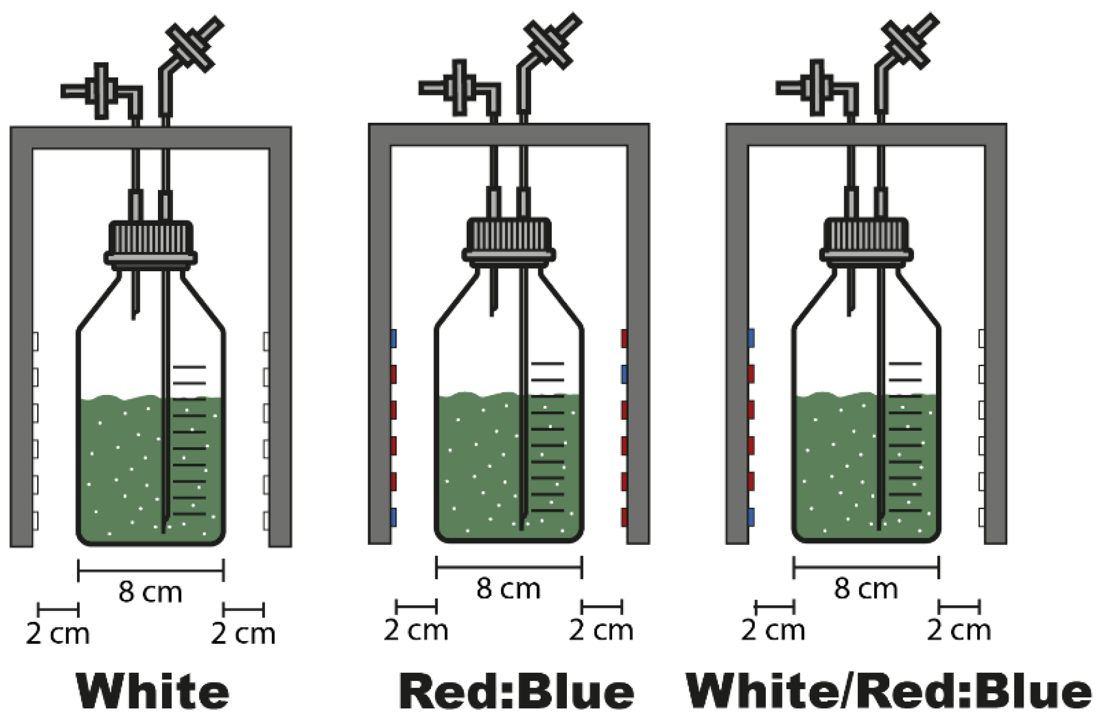 Applsci 12 11664 g001 Applsci 12 11664 g001